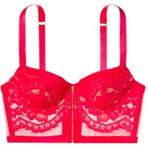 Victoria’s Secret Wired Longline Bra with Gold Zipper
